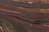 Polished Tiger Iron Stromatolite Slab - Billion Years #222023-1